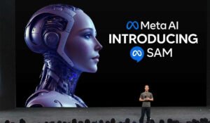 SAM: La nueva IA de meta para segmentar en función a imágenes