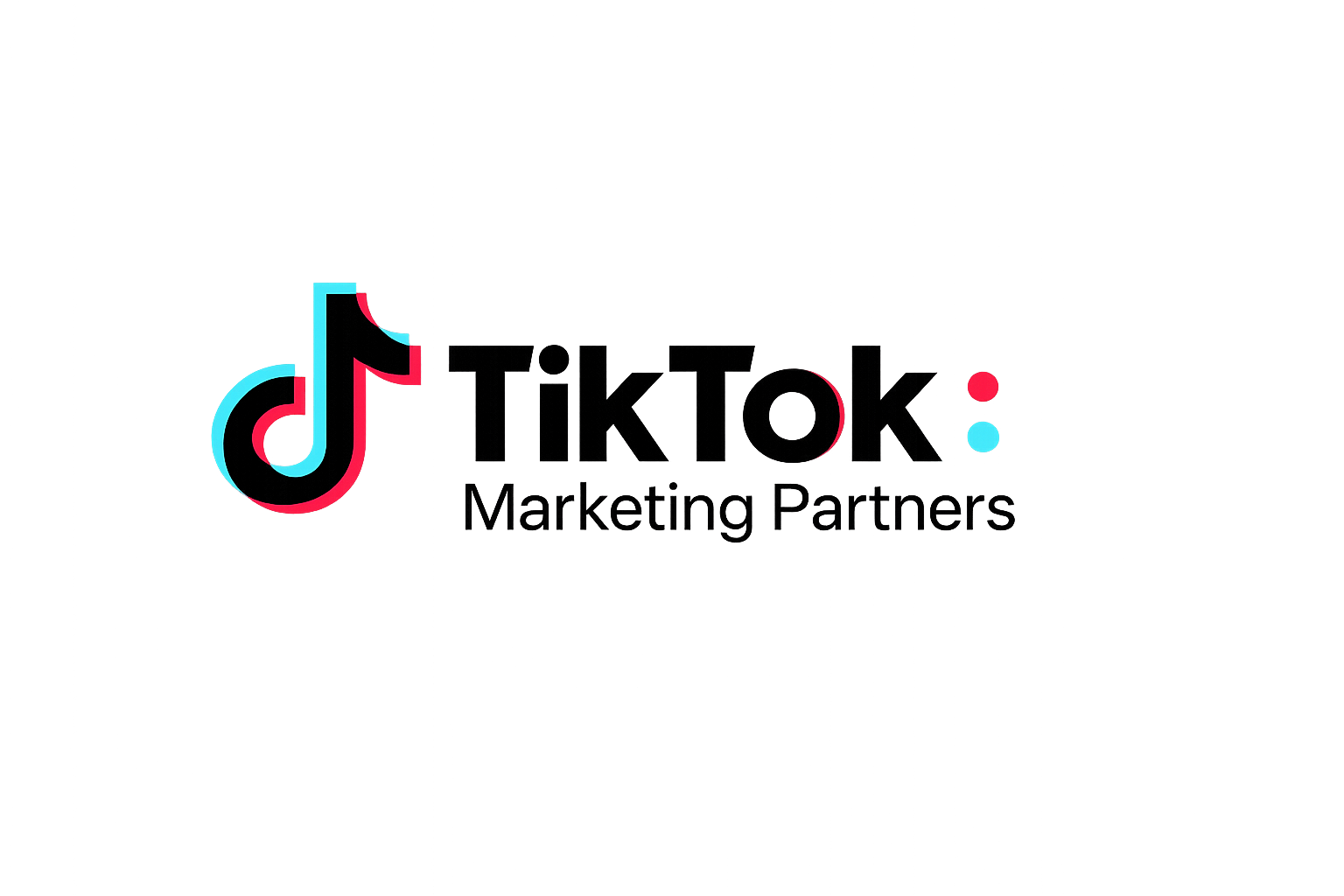 TikTok Partner